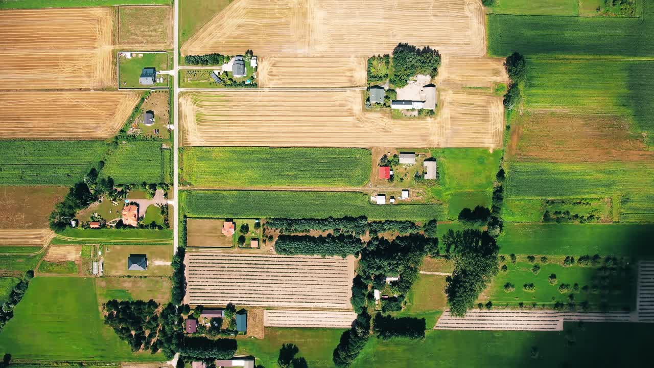 Aerial view of green fields and sun in the sky