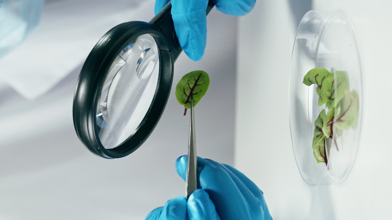 Plant research in the laboratory