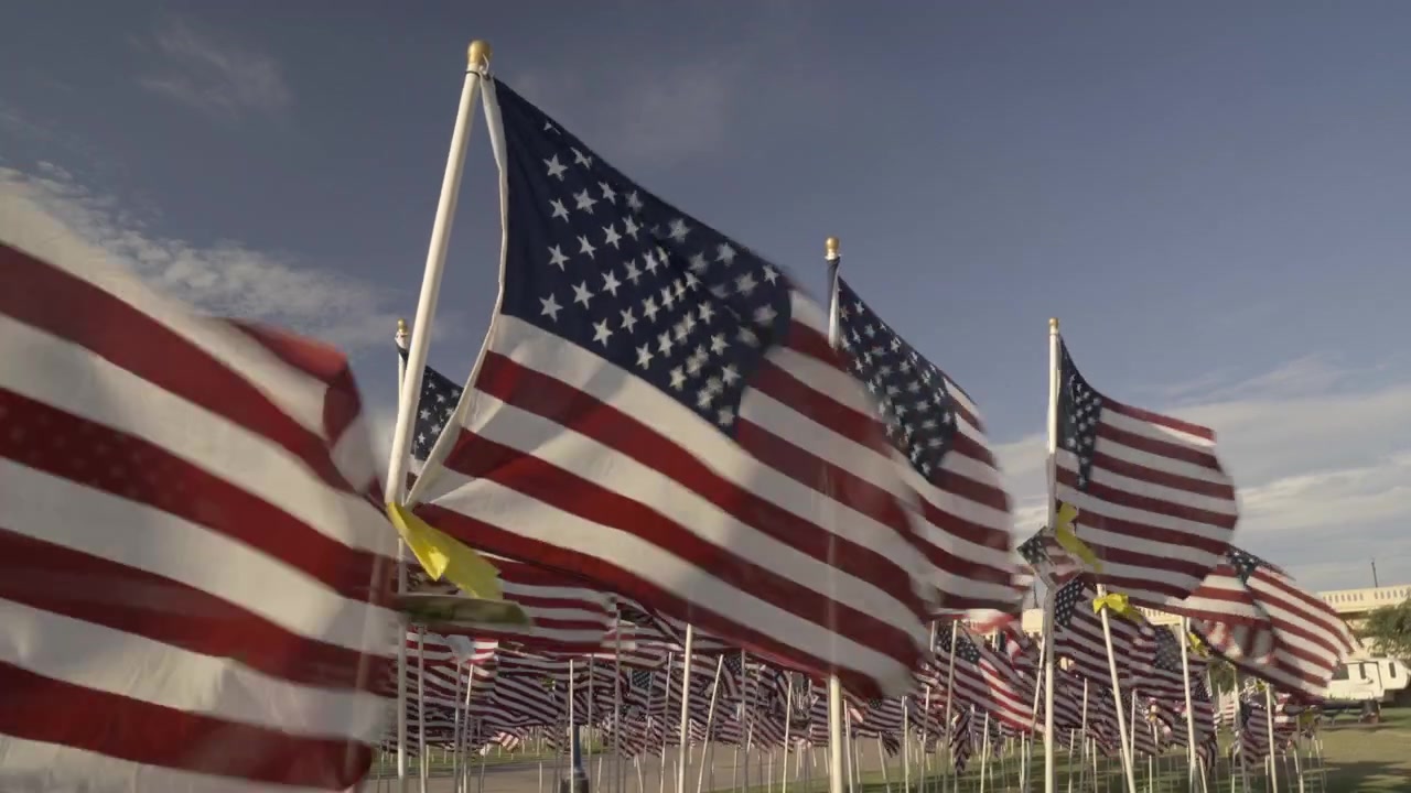 File di bandiere americane sventolano vigorosamente con vento forte in un parco commemorativo. Questa scena patriottica presenta una dinamica dimostrazione di orgoglio nazionale in risoluzione 4K contro un cielo azzurro e limpido