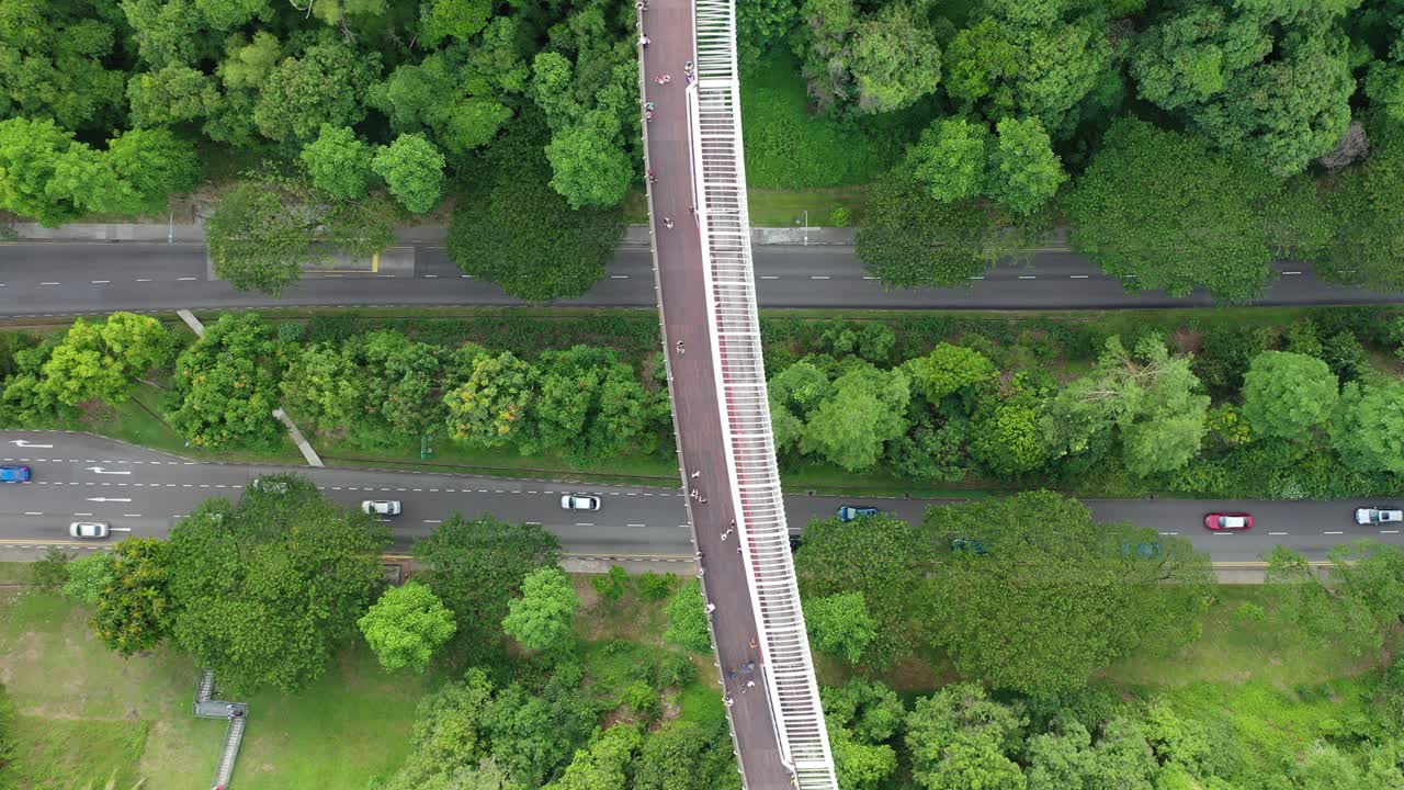 Drone footage over the Henderson Waves in Singapore