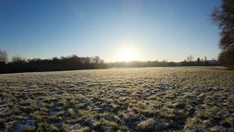 fpv flying through tree branch over snowy sunlit winter meadow towards glowing sunrise