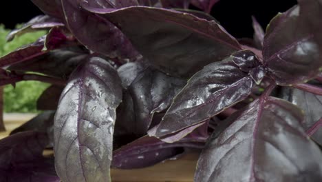 purple basil and tomatoes on a wooden cutting board