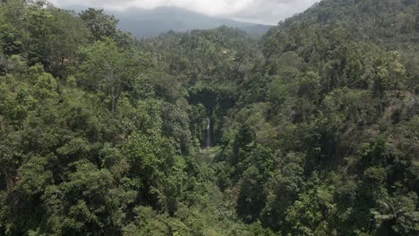 sobrevuelo aéreo selva exuberante y densa hacia la cascada de sekumpul en bali