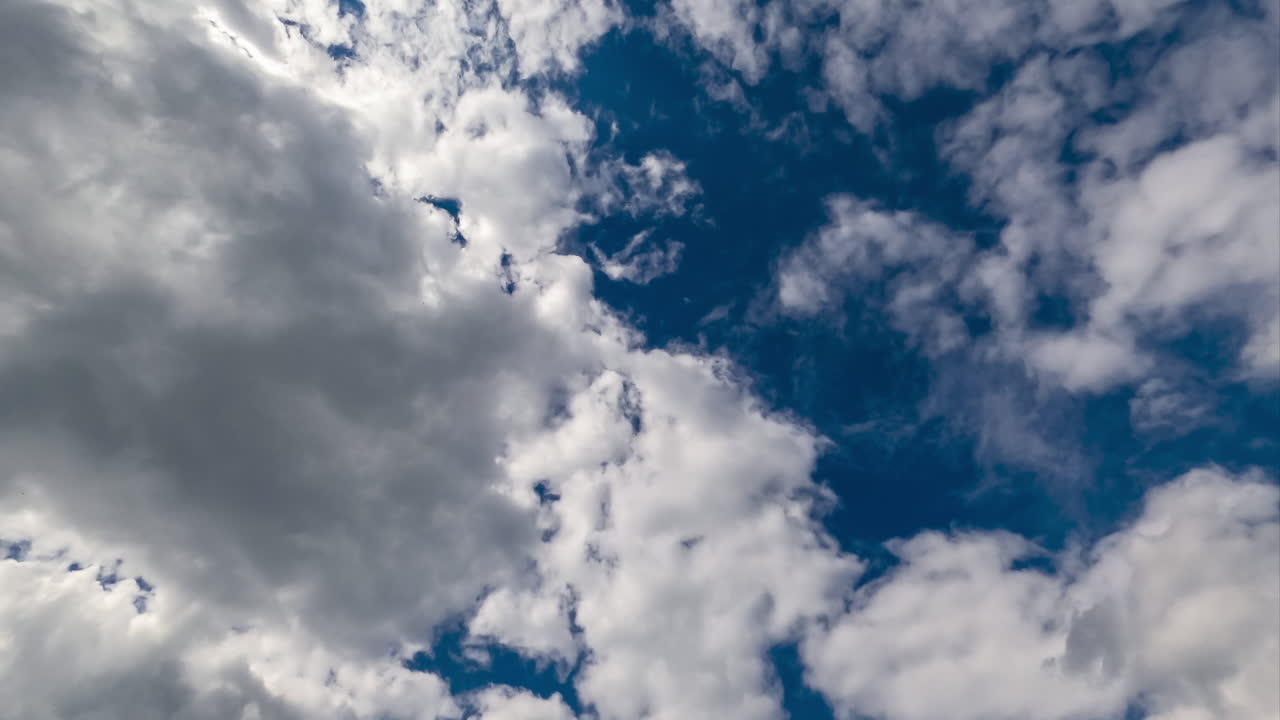 Grey clouds transforming quickly. Puffy soft clouds at the backdrop of dark blue sky. Timelapse from low angle view.