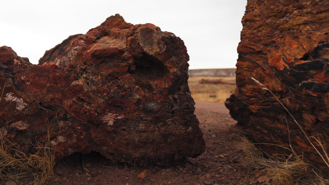 tronco de madera gigante en el parque nacional del bosque petrificado en arizona, tiro de seguimiento