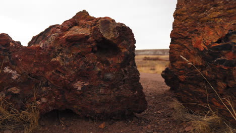 Riesiger-Holzstamm-Im-Petrified-Forest-National-Park-In-Arizona,-Kamerafahrt