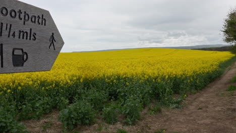 coastal footpath showing wooden sign post along side a rapeseed field on a overcast day, cleveland way sandsend yorkshire uk
