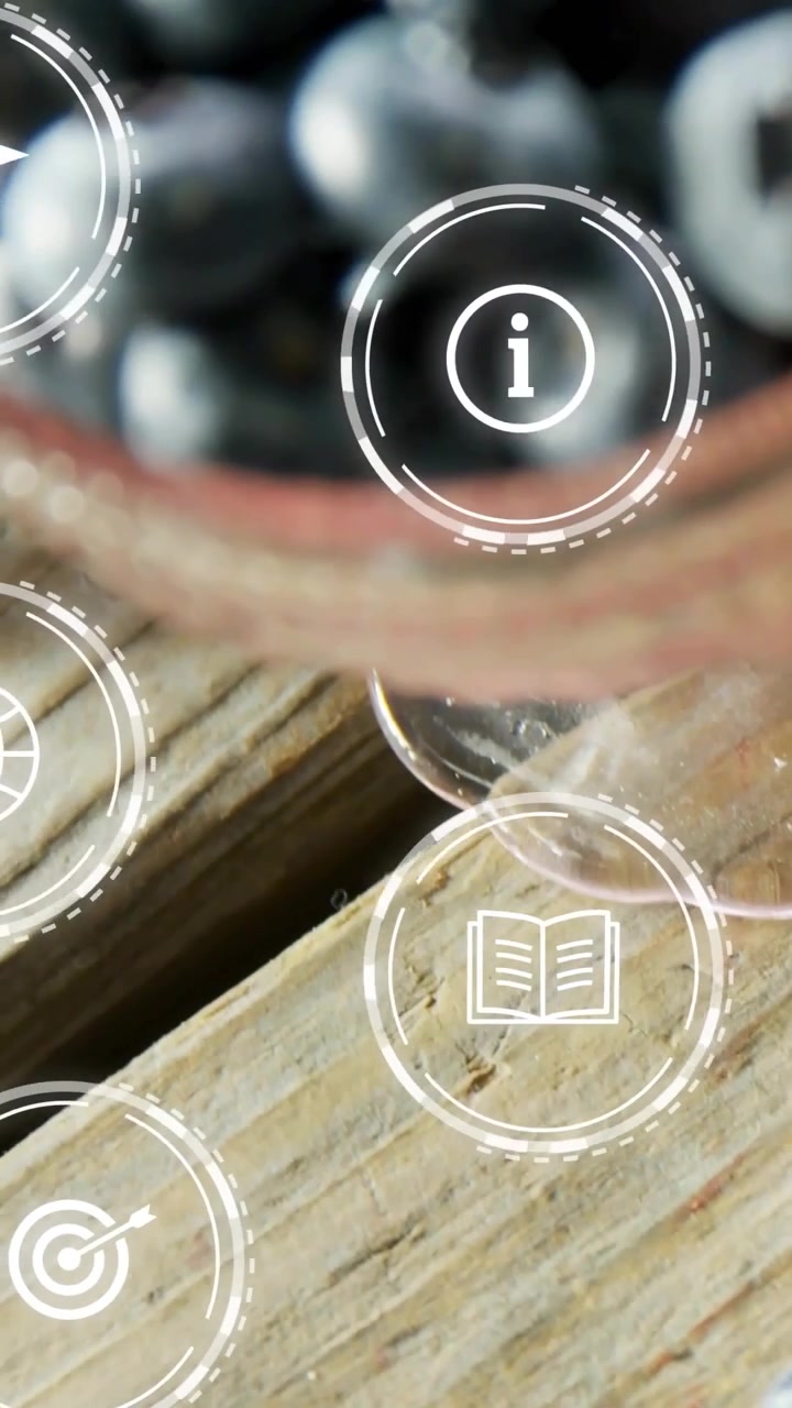 Vertical video: Panning camera revealing blueberry bowl on deck with red rim to center, HUD icons
