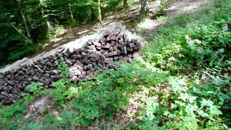 Una-Pila-De-Troncos-De-Leña-En-El-Bosque-Apilados-Listos-Para-El-Invierno