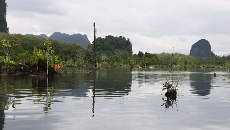 calma vía fluvial rodeada de exuberante vegetación