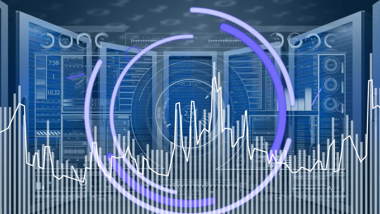 Animation of financial data processing over computer servers