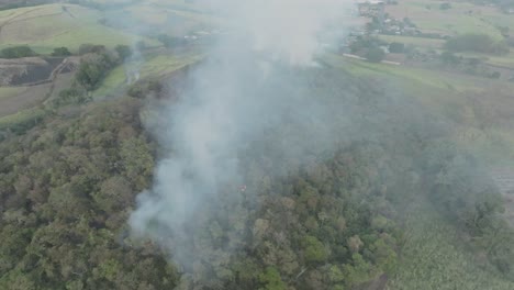 imágenes en cámara lenta de un avión no tripulado: dando vueltas alrededor de un incendio forestal moderado en la cima de una colina en un día nublado