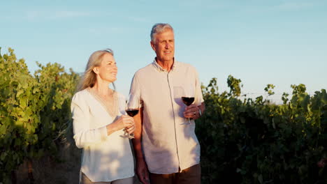 senior couple enjoying wine in a vineyard at sunset