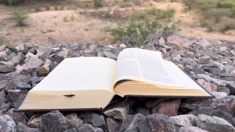 mi biblia es la presencia de dios en la tierra