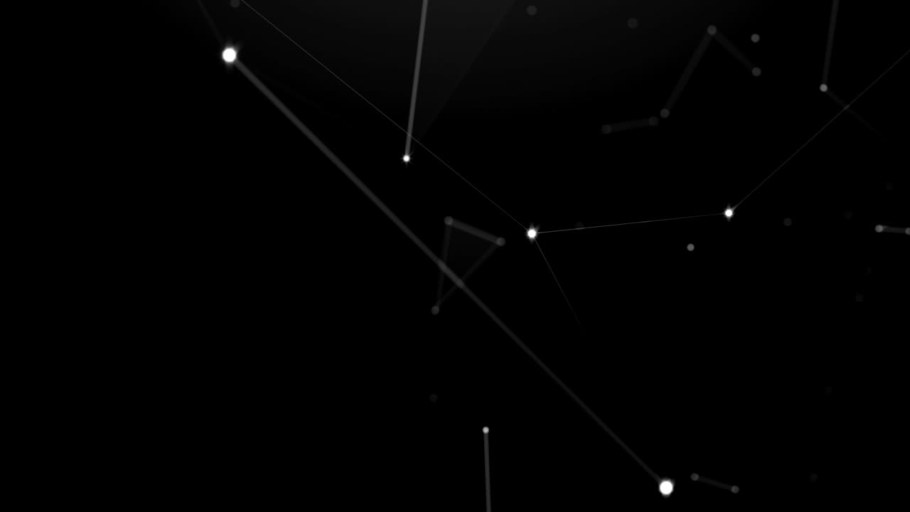 plexo blanco negro con puntos, líneas, triángulos.