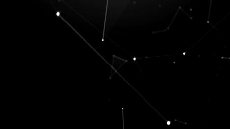 plexo blanco negro con puntos, líneas, triángulos.