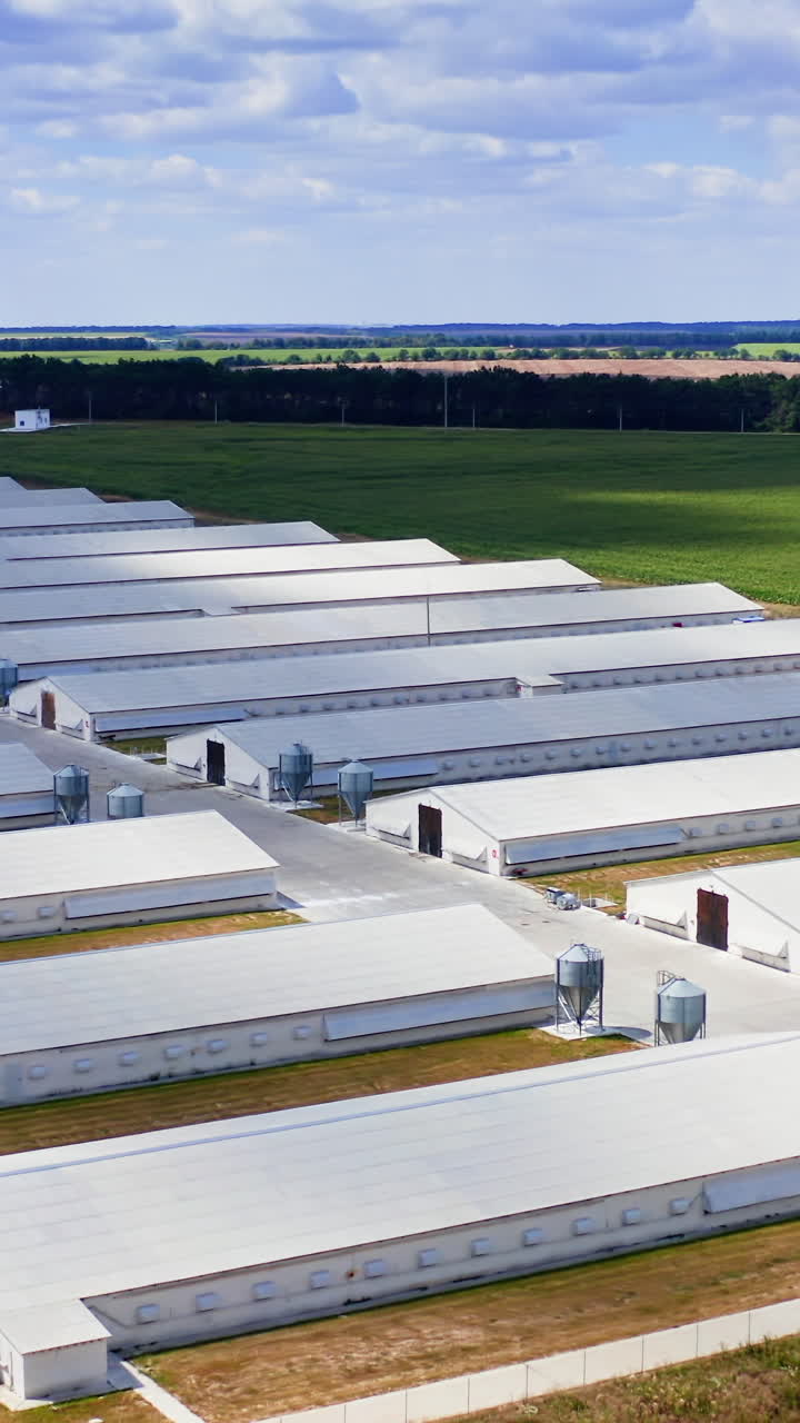 Aerial view of industrial poultry house in the country. Modern Factory Exterior. Vertical video