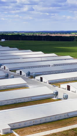 aerial view of industrial poultry house in the country. modern factory exterior. vertical video