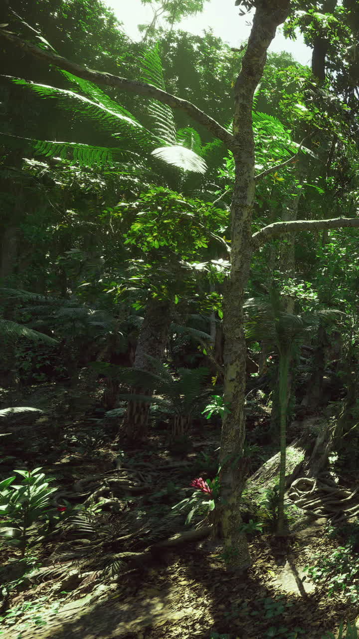 Foresta verde lussureggiante con alberi alti e piante vivaci in pieno sole