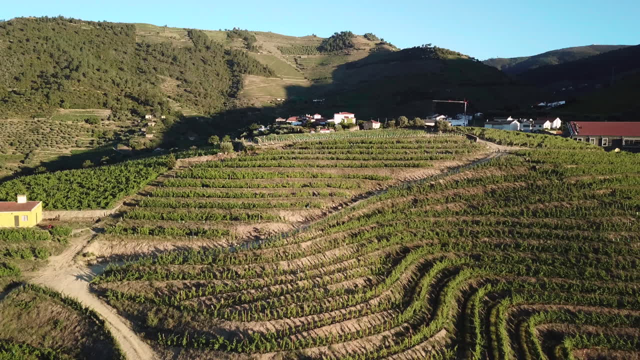 Sorvolo di un vigneto a terrazze su una collina nella Valle del Douro in Portogallo