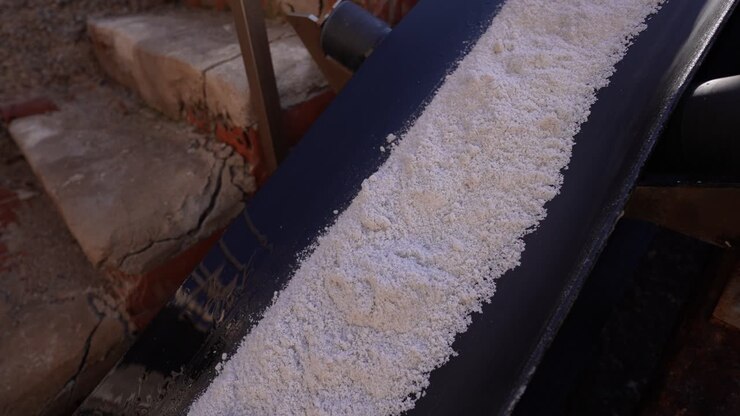 Salt factory