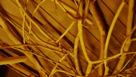 wooden branches on wood ceiling decor