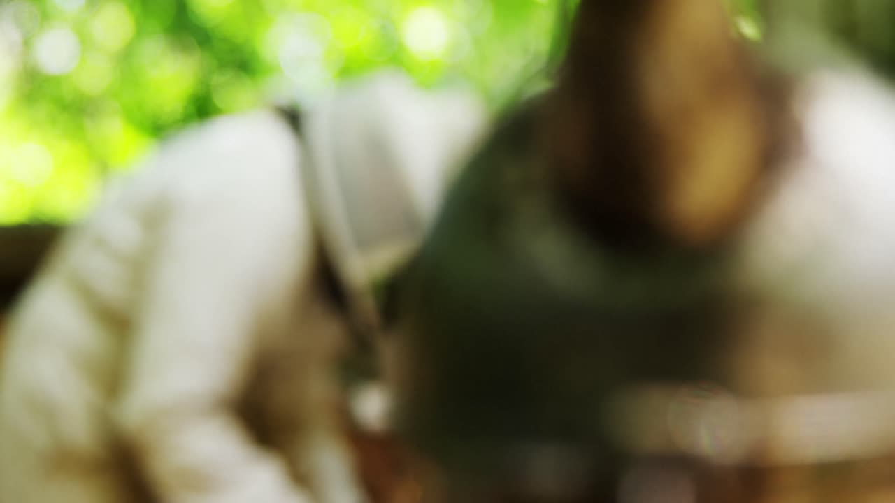 벌집 의 벌집 에 있는 벌집 의 흡연자