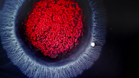 bright red ink spreading in water with intricate details resembling a nebula