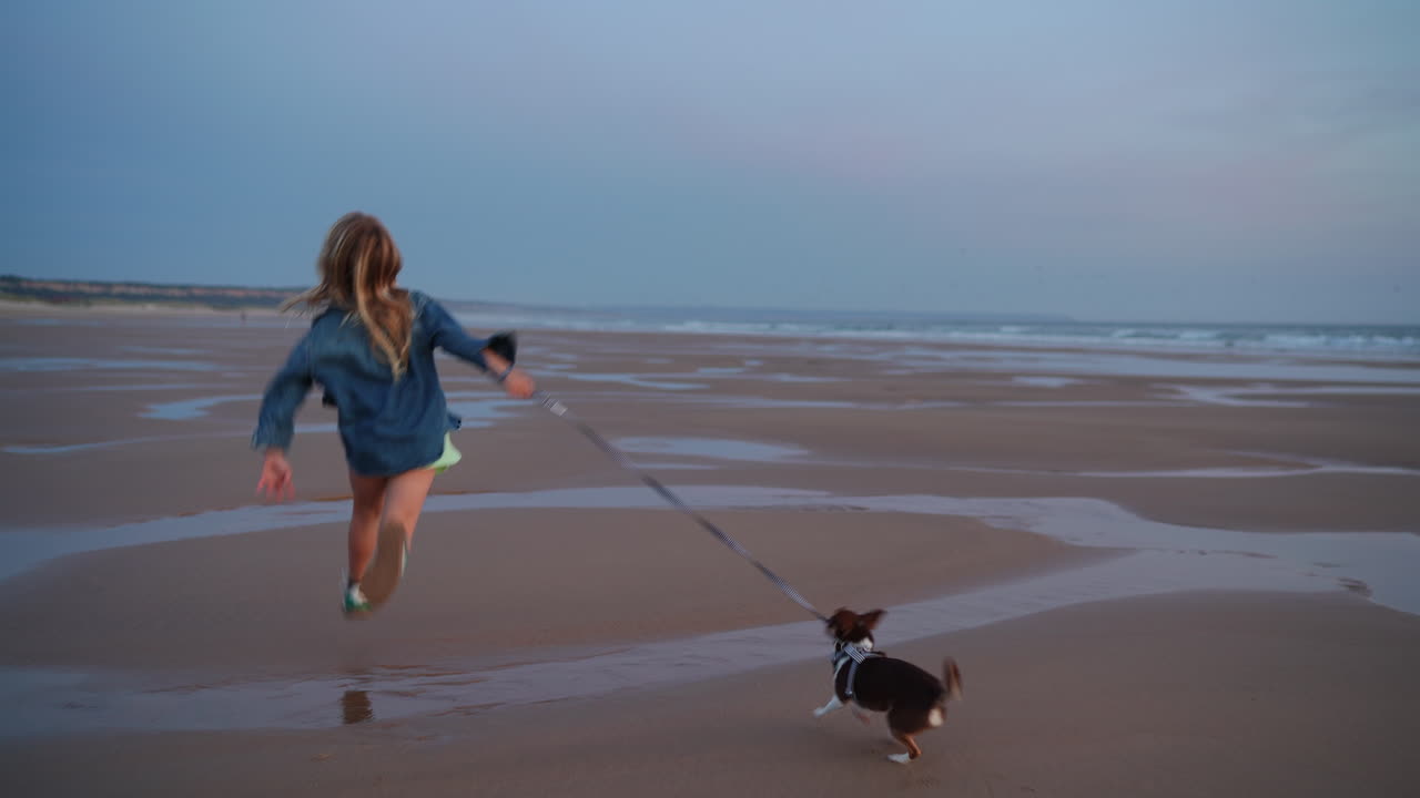 Young blonde walking small brown and white dog along wet sandy beach during soft dawn light, enjoying peaceful morning by seashore with canine companion