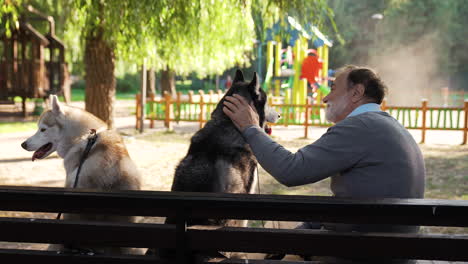 pet owner with his dogs