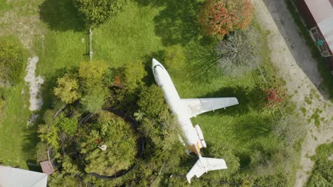 birds eye aerial view of abandoned aeroplane in green shrubbery