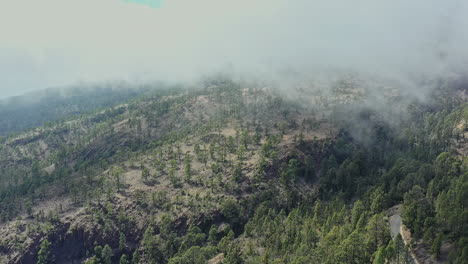 get lost in the enchanting allure of tenerife's volcanic landscapes in spain