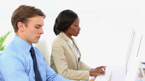personas de negocios escribiendo en su escritorio