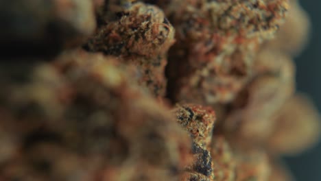 A-vertical-macro-cinematic-detailed-shot-of-a-cannabis-plant,-orange-hybrid-strains,-Indica-and-sativa-,green-and-black-marijuana-flower,-on-a-rotating-stand,-slow-motion,-4K-video,-studio-lighting