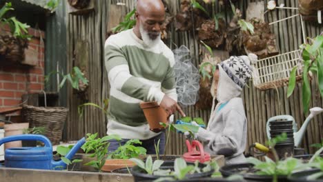 Glücklicher-älterer-Afroamerikanischer-Mann-Mit-Seinem-Enkel,-Der-Pflanzen-Im-Garten-Eintopft