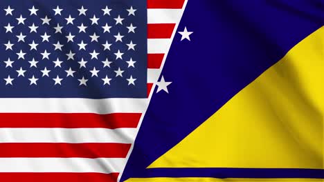 united states flag and blue and yellow flag