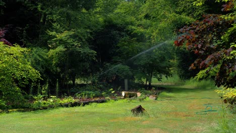 Imágenes-Que-Muestran-Un-Sistema-De-Aspersión-En-Las-Plantas-Y-Bordes-De-Riego-Del-Jardín