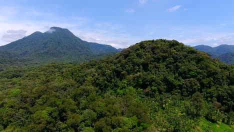 Joinville-Landschaft-In-Parana,-Brasilien