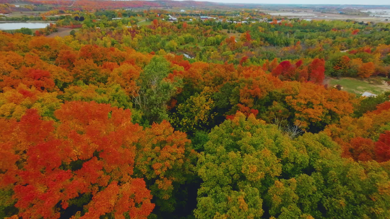 vista aérea de drones fpv volando sobre un bosque otoñal con follaje naranja brillante