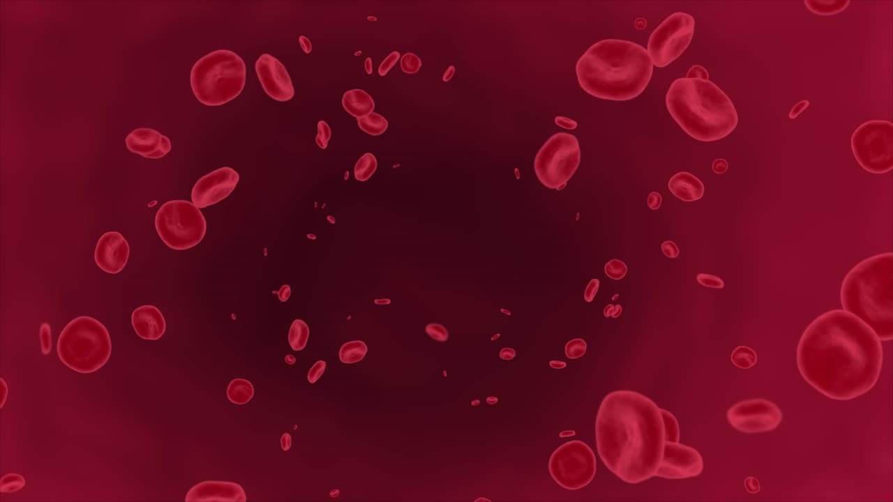 3d red blood cells flow inside body medical human healthcare red blood cells scientific or medical