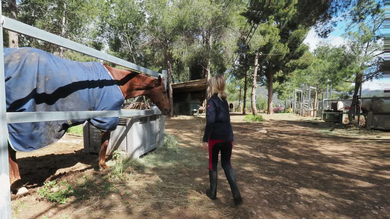 Girl feeding a horse at the stable