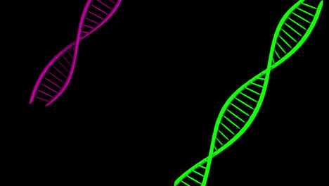 animation of dna strands over black background