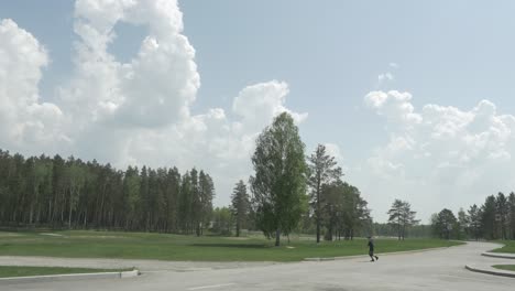 person flying a kite in a park