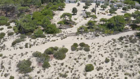 Troia-Peninsula-or-Tróia-Nature-Reserve-is-part-of-Sado-Estuary-natural-park