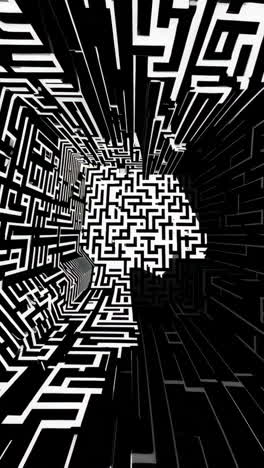 abstract black and white maze brain pattern