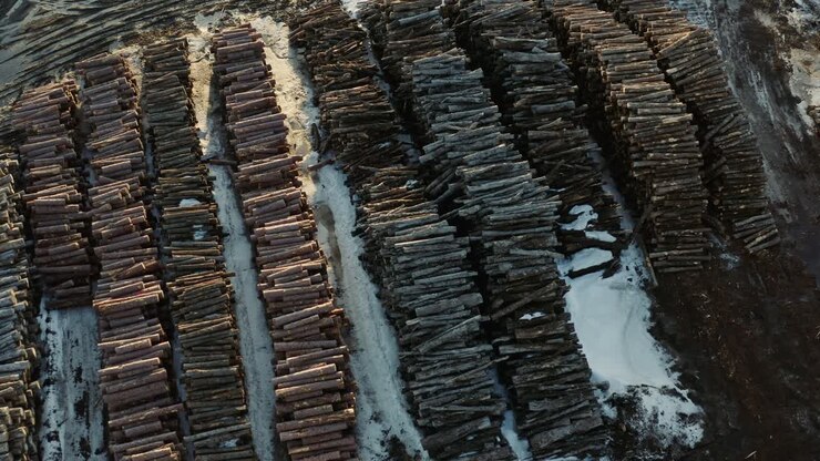 Overhead drone view of large stockpile of logs taken from Canadian forests in Thurso Quebec Canada during winter