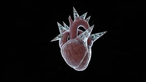 spiked heart illustration