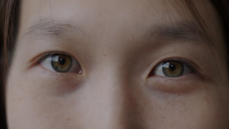 primer plano de los ojos de una mujer.