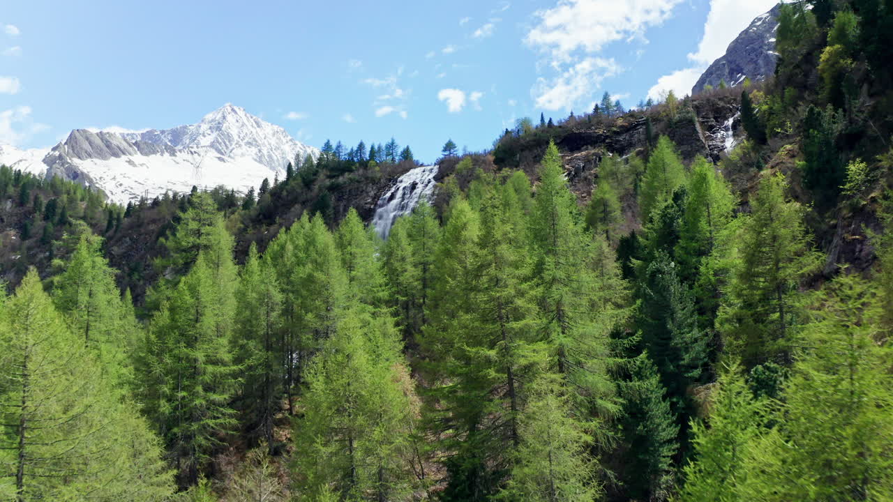 volando bajo a través de los árboles del bosque hacia la cascada de la montaña