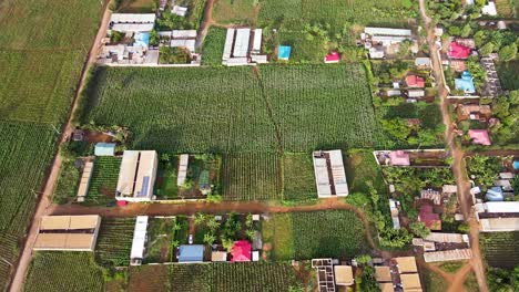 farm farmland landscape rural